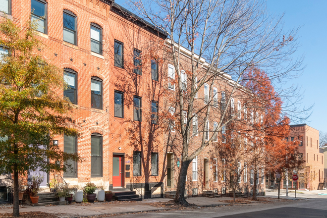 Street View - Brand new shared housing in Station North/Greenmount West Rental