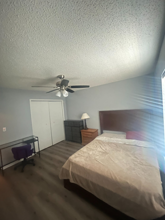 Bedroom - Summer lease close by USF available NOW until aug . 15