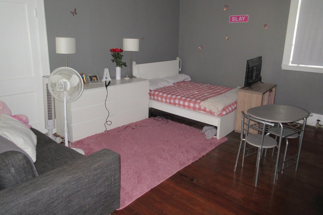 Main room - Studio Apartment 5 minute walk from B.C.
