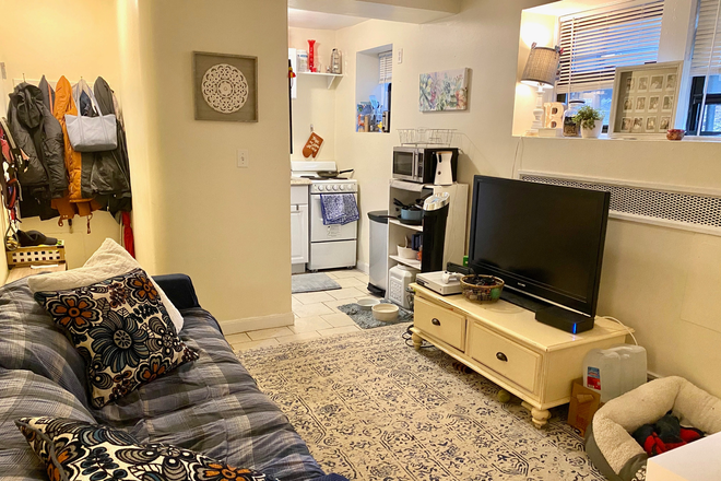 living room - Cozy garden level Brookline 1 bed - NO FEE!