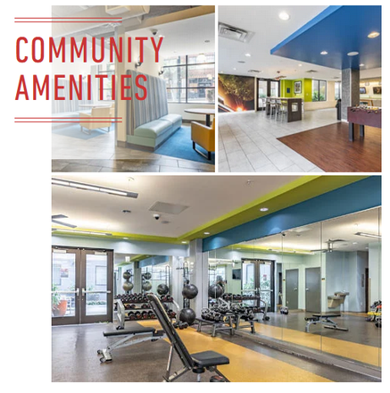 Amenities - Furnished Bedroom for Student, Close to Campus! Internet, Rooftop Pool, Gym, Security Included. Apartments