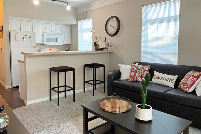 Kitchen/common area - The Flats at 4200, right across from USF Apartments