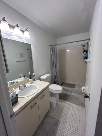 Connecting bathroom - Spacious Private Bedroom & Bath in 2BR/BA Apartment - 2 Miles from USF!