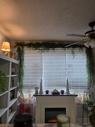 Den Area Overlooking Historic County Court House - Boutiques On Keitt Nurses Station Historic District 2 min to Hospital, Providers, Bakeries & more Apartments