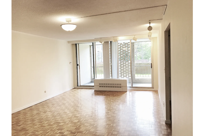 The beautiful and sunny living room! Further photos in Zillow link - Spacious (870 sq ft) 1 bedroom apartment for rent in Brookline