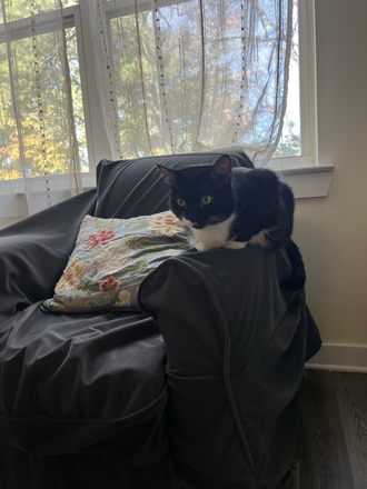 Living room - EMORY graduate apartment + private bathroom