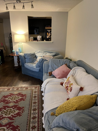 Living room - Loft Apartment-15 minute walk from center of campus