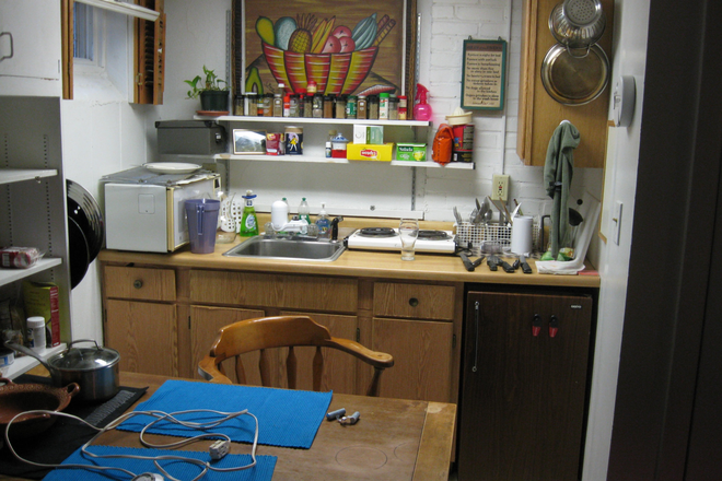 Kitchenette with fridge, microwave, hot plate - 1 1/2 Room Furnished Studio in  Basement of Private Home