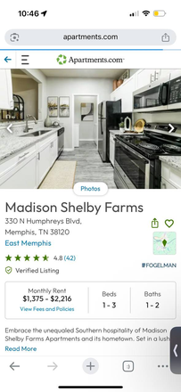 kitchen - madison shelby farms Apartments