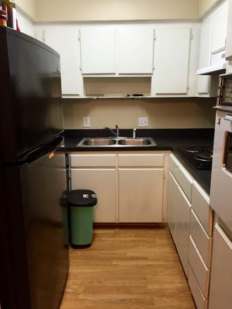 Kitchen - 1b/1b apartment very close to campus! $1050/mo