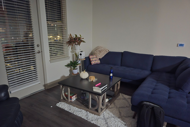 Living room - Broomfield apartment, 1b/1b available in a 2b/2b