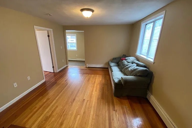 Living room - Looking for Spring 2027 subletter! Short walk to campus, near Davis Sq and Ball Sq! Apartments