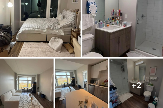 bedroom, bathroom, living room - Private Bedroom and Bathroom in Shared Apartment prime location and discounted price