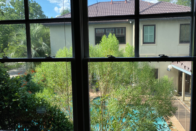 View from Window-new landscaping is being done - Flexible Lease-Detached, Upscale, Large Garage Apartment with Private Entrance 2 miles from Rice