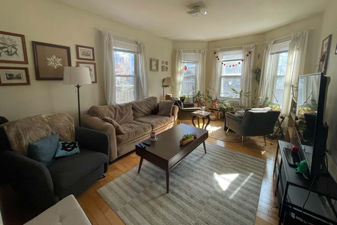 Living room picture #2 - Searching for a third roommate for our cute apartment