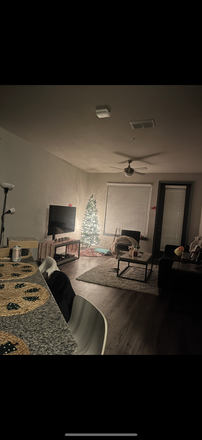 Living room - Great apartment right next to campus!! 1x1 in a 4x4