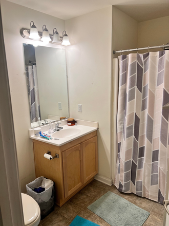 Bathroom - Turtle Creek West Condo Apartments