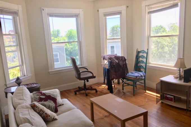 living - charming, renovated, spacious, wood floor, laundry . a/c, HBS Apartments