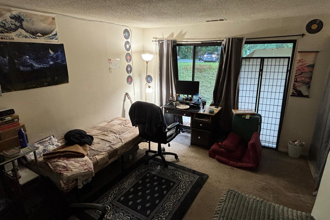 Living room - Two Bedroom Apartment close to UMASS