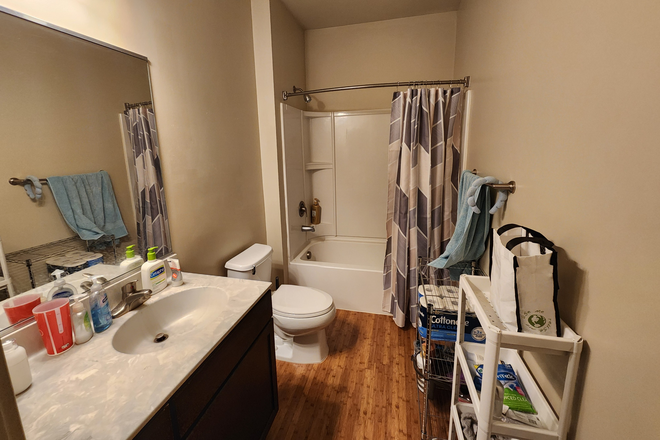 Bathroom - Sublet for Spring 2026 at The Varsity Apartments