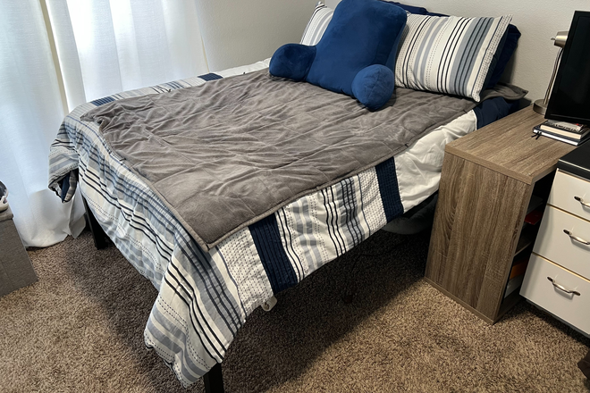 Bedroom - Spring 2026 Sublet - Price Negotiable Apartments