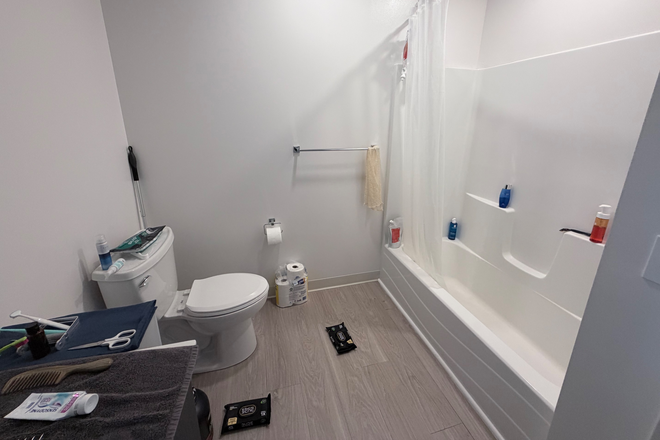 Toilet and bathtub in my bathroom. - Fieldstone Artisan