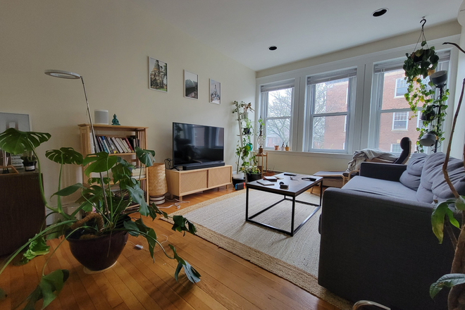 ... - BRIGHT AND COZY 3 BEDS/1 BATH UNIT NEAR BU || WITH DISHWASHER || CATS ALLOWED Apartments