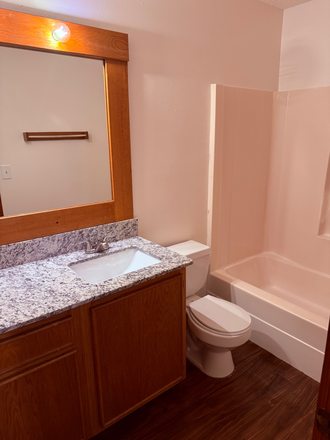 Remodeled bathroom - Charming 1BR/1BA Apartment with Treehouse Vibes - Walk to U of A!