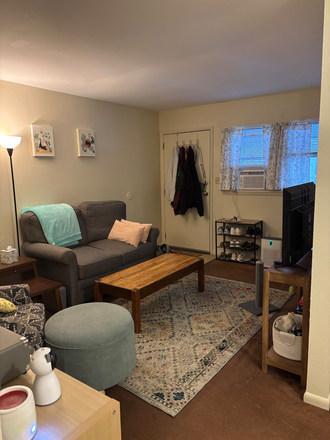Living Room - 1 BR Sublet | Early Payment Discount | Walk to Campus!
