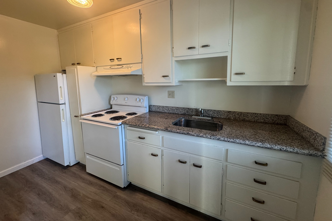 Kitchen - Beautiful studio apartment in a well-maintained building on Solano Ave