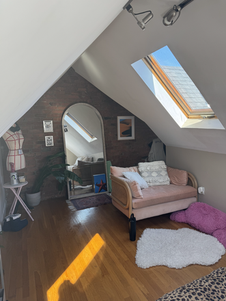 Spacious Attic Bedroom - Spacious 3 Story House - 1 or 2 Bedrooms Available! Furnished (optional)!