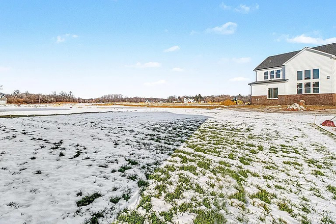 Yard - Brand NEW Family Home, Ann Arbor Schools