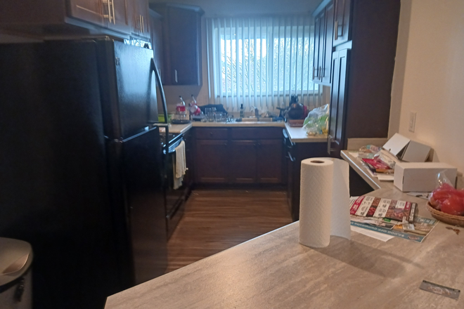 Kitchen - Collingwood Apartments