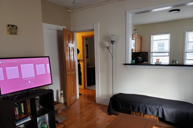 Living room - Rooms $1,050-1,300/month. 3 or 4 bedroom 2 baths Apartments. Walk to Harvard and MIT. Walk to T.