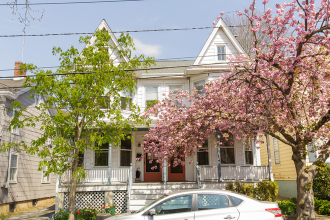 Street view - 3BR home with yard-Chestnut St-Princeton