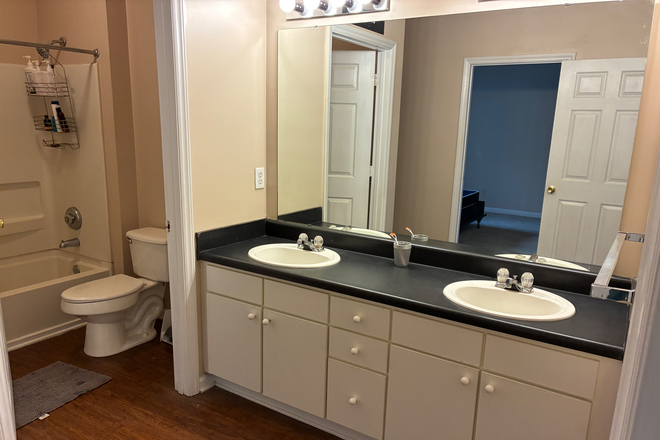 Bathroom (Sinks) - FALL 2026 SUBLEASE The Reserve at Clemson Apartments