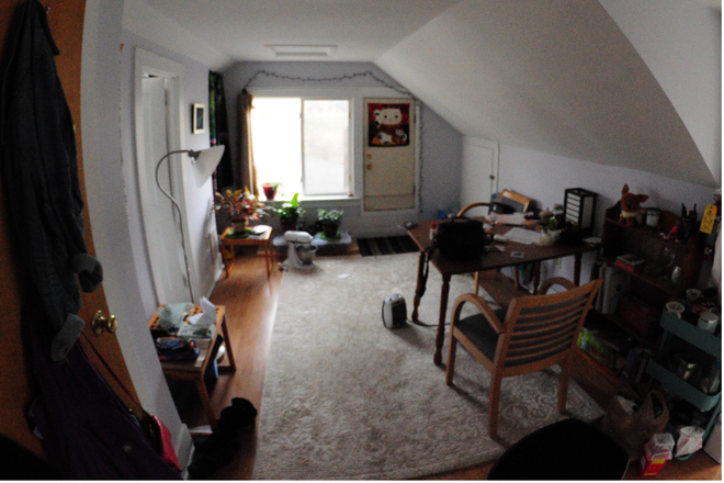 LivingRoom - 1 bedroom Apartment  minutes walking distance to Larner &  UVM