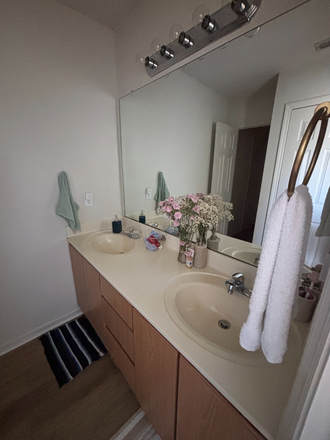 Shared Bathroom - Undergraduate House