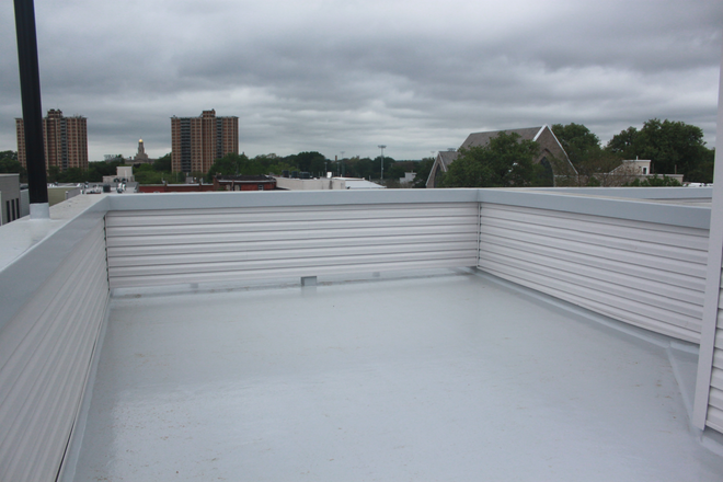 Roof Deck - 407 North Budd Street House