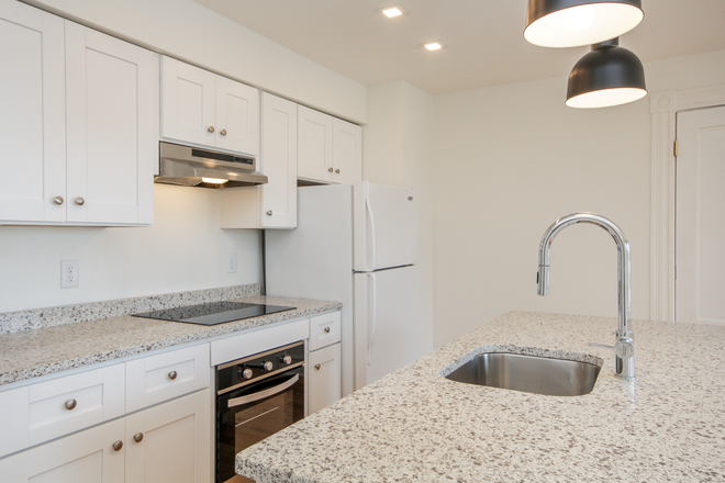 Kitchen - Beautiful, Remodeled, 1bd 1ba Apartment, Walking Distance to Campus