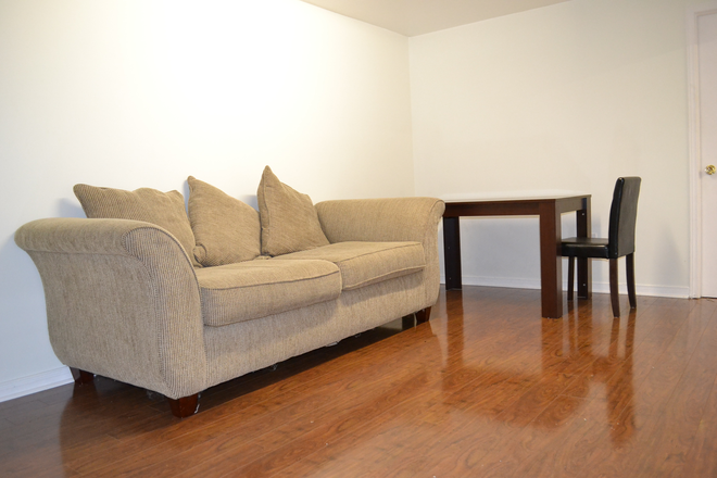 livingroom - Beautiful one bedroom basement for Rent at UTSC area for female only. House