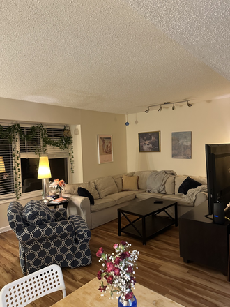 Living room - Furnished, Utilities-included Mill Creek Townhouse 16 minutes from campus, summer sublease