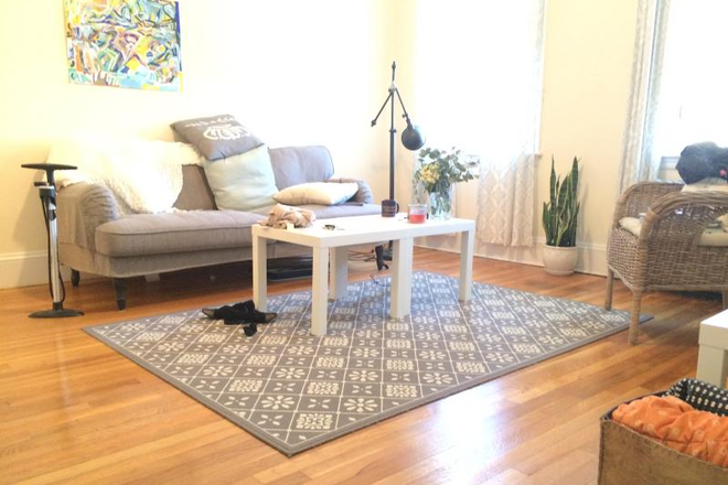 - - Close to Campus! Spacious 1 bed w/ Heat & Hot Water Included, Laundry in Building Apartments