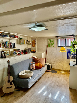 living room - Great basement 1 bed/1 bath just steps from Campus- Bike to campus! Triplex
