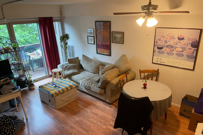 Living room - Looking for a roommate for a split level 2 bedroom 1 bath near CU Apartments