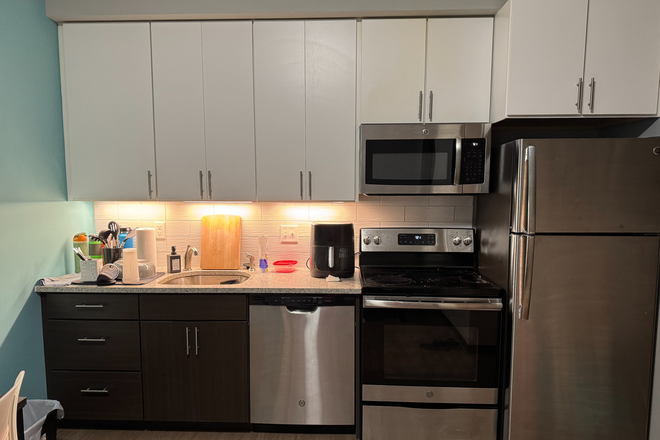 Kitchen, oven, dishwasher, fridge - 718 S Euclid Ave, apt 01