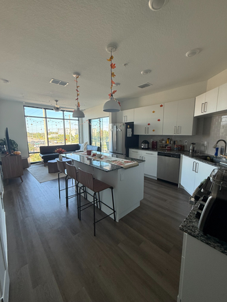 Living Room/Kitchen - The Accolade Collegiate Village East Apartments
