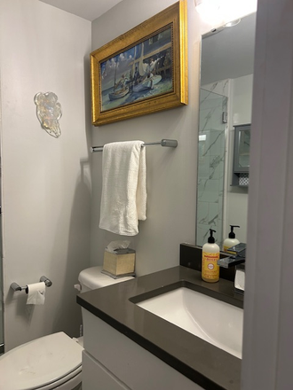 Private ensuite bathroom with walkin shower. - Eastside Elegance. Spacious yard. BigBadBreakfast, Taco Boy, Leons, Melfis, East City Lights Coffee House