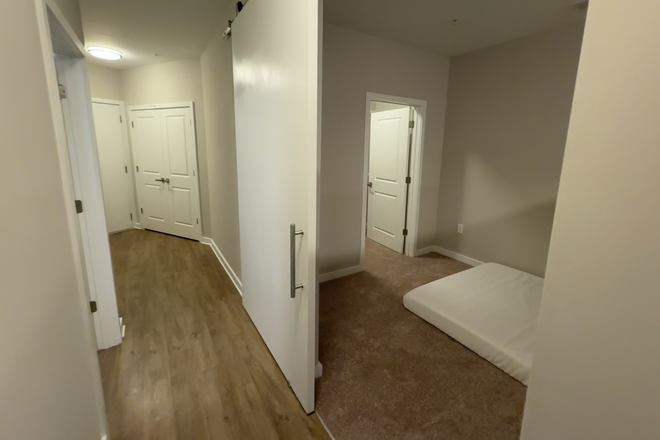 Hallway and Bedroom - The Alloy Apartments
