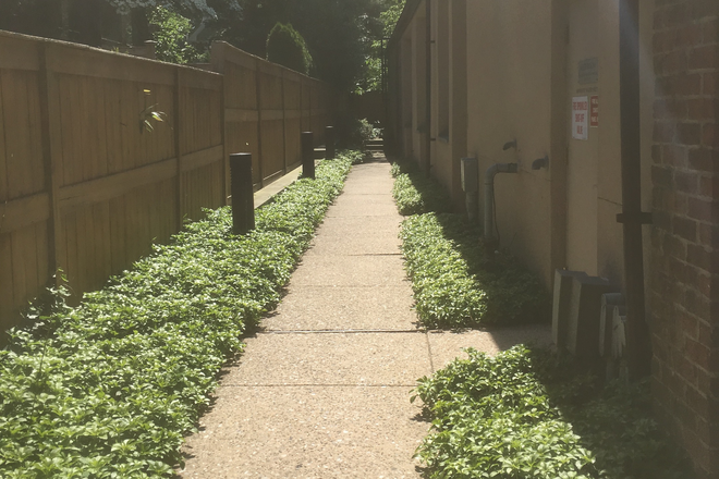 Walkway - 1BR Condo-Moore St-Princeton